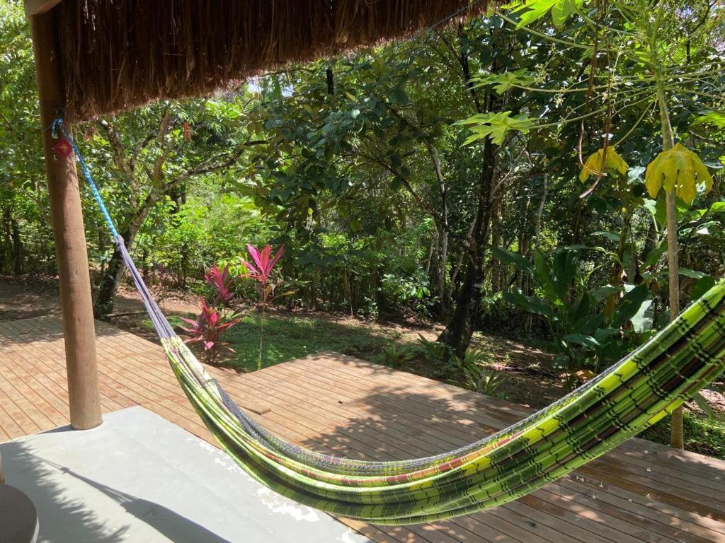 Paraiso Da Mata Itacare Hotel Bilik gambar